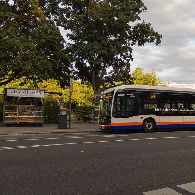 E-Busflotten