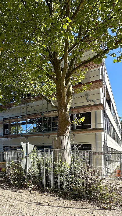 Grundschule. 150 bis 200 Neubauten pro Jahr.