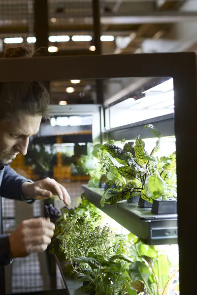 Lebensmitteltransport: 1m statt 100km